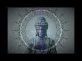 Remove Negativity & Anxiety | Serene Buddha Nature | Ambient Meditation Music