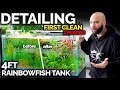 Fully DETAILING My Rainbowfish Aquarium: First Deep Clean In 2 Months!!