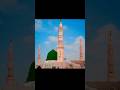 @Nara e Takbeer Allahu Akbar JB Ek Nabi Aur Ek Quran Hai || #islam #islamicstatus #shortvideo #reels