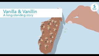 Vanilla \u0026 Vanillin, a long-standing story