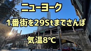 ニューヨーク1番街を29th Stまでさんぽ