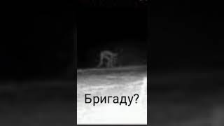 бригаду?(не обязательно)