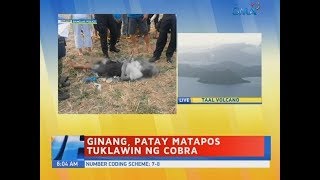 UB: Ginang, patay matapos tuklawin ng cobra