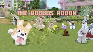 ⋆𐙚 Minecraft Be ˚⋆cute pet add-on | The Doggos Wolf Textures v1.16 - 1.21+ |แอดออนน้องหมาสุดคิ้วทึ~🎀