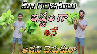 అడవి చెమఆకుల కూర ..//wild taro leafs curry..