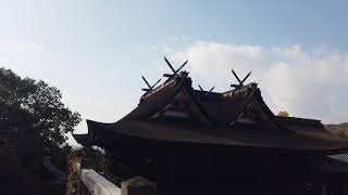 Kibitsu Shrine（Okayama City, Okayama Prefecture, Japan）