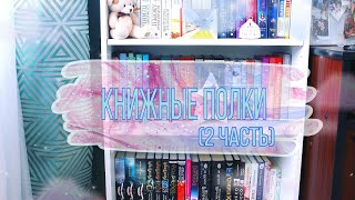 КНИЖНЫЕ ПОЛКИ  (2 часть)