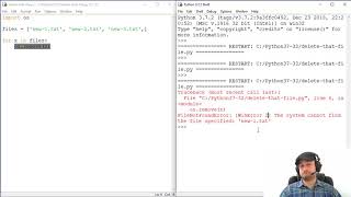 How To Delete a File with Python - os.remove() Example