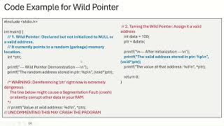 Session 5 Wild Pointer in C Programming