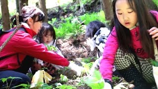 初めての山菜採りをマスターと共に楽しんだ三姉妹