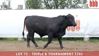 Lot 75 - Triple B Tournament T383