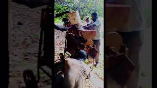 AgriEase in Action, Cashew Nut Separation with Farmers in Ghana at Wenchi Contact uson +233559448480