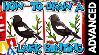 How To Draw A Lark Bunting - Advanced