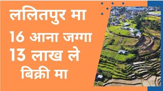 ललितपुरमा 16 आना जग्गा मात्र 13 लाखले बिक्रीमा✅ @GharjaggaKathmandu realestate