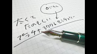 [万年筆 プラチナ3776 センチュリー] 思考のぶっとい柱を建てる。ZOOM会議にも！  WRITE IT ! 005