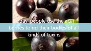 What Are Some Of The Acai Weight Loss Benefits