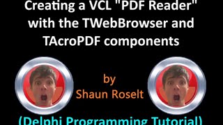 Creating a VCL "PDF Reader" (Delphi Programming Tutorial)