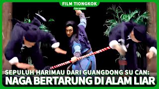 【Naga Bertarung di Alam Liar】Menakjubkan! Seorang pengemis adalah seorang ahli bela diri| film cina