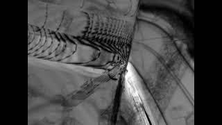 Dislocation emission from crack tip