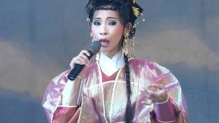 2010.02.06明華園星字團-清水寺(午戲=魚美人)狗狗+美華.MOV