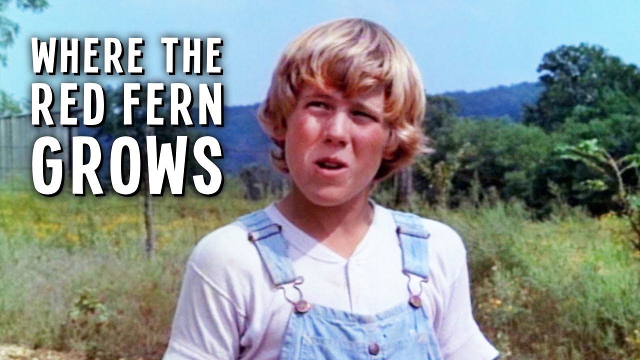 Where The Red Fern Grows Movie 1974 Where The Red Fern Grows Movie 1974