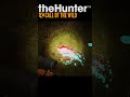 【the hunter call of the wild】ゆっくりハンター日記　131日目　ヒグマ【ゆっくり実況】