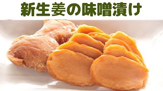 【新生姜の味噌漬け】新生姜の長期漬け/下漬け後 半年から１年漬け込みます/