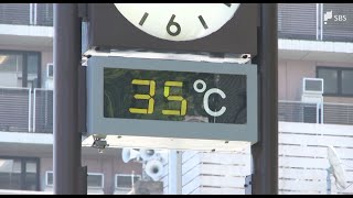 朝から気温ぐんぐん上昇　午前中に各地で34℃以上記録　真夏並みの暑さで36℃予想も＝静岡 1