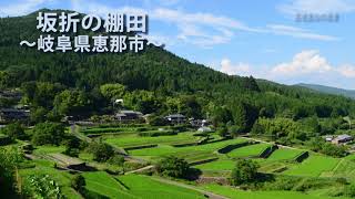 坂折の棚田景観／里地里山の風景～岐阜県恵那市 Satoyama Landscape Japan