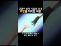 🔥뜨밤을 허락한 이유🔥 던만추 시르의 정체