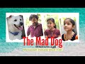 The Mad Dog അഥവാ പേപ്പട്ടി | Malayalam Comedy Short Film | Nikki | Life Living & Nature