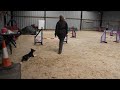 quiz agility training