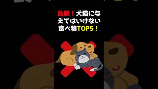 【危険！】犬猫に与えてはいけない食べ物TOP5 #雑学 #ペット #犬 #猫 #youtubeshorts