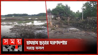 দখল-দূষণে ভরাট মৌলভীবাজারের হামহাম ছড়া | Hum Hum Waterfall | Pollution | Moulvibazar | Somoy TV