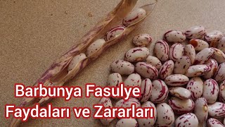 Barbunya Fasulye Faydaları Nelerdir? - Pratik Bilgi Bankası