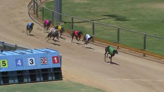 Gawler-13122019-Race-7