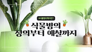 [제4기 KOFST 크리에이터 : 미래에는 어떤 기술이?] 식물병리학이란? 식물병의 정의부터 예찰까지