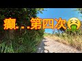 【介紹篇】bigrock品牌嘅山地車💯臥底單車仔🤫激戰昔日英軍營地🤮癲狂嗌爆成個九龍坑山😉