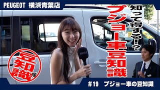 プジョー車ってどんな車？知らないと損する3つの豆知識！