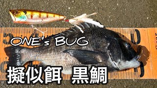 バス用ポッパーでも遊べるチヌトップ【ワンズバグ】 Bream popping on ONE's BUG IN 武庫川