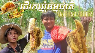 #ចាំអីទៀតមកមេីល ការដេីរកឃ្មុំកន្លះថ្ងៃទេីបជួប😬ឃ្មុំធម្មជាតិ😊/Natural honey😊