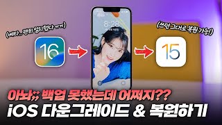 어쩌지;; iOS16 베타 설치 후회된다면.. | iOS, iPadOS 다운그레이드\u0026복원하기 (ft 미처 백업 못했어도 데이터 복원 가능)