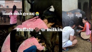 krdi buffalo milking wo bhi full 🫠abki baar kmi nikali to kut dungi 😡😡😡#buffalo #milk #village #vlog