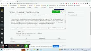 Video Assignment - Final Reflective Essay