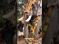 chirakkal parameswaran panthalloor pooram 2023