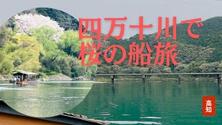 屋形船で行く四万十川の桜旅情(高知)