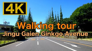 【4K】Jingu-Gaien Ginkgo Avenue, Tokyo, Walking tour