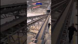 Belt Conveyor is conveying material #sbm #sbmcrusher #crusher #crushingplant #aggregate #mineral