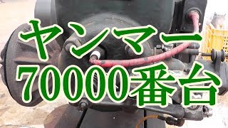 ヤンマー石油発動機のご紹介　７００００番台　2018年2月東京国立府中運転会にて