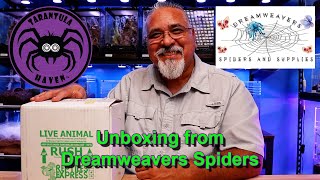 Unboxing from Dreamweavers Spiders!